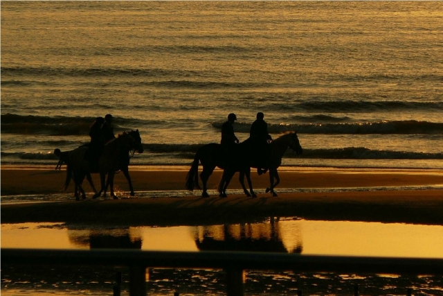  cours d'équitation à maratea 