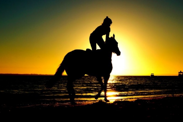  réserver ce cours d'équitation