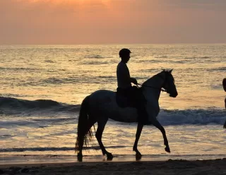 1-hour horseback riding tour to Monte Cerreta in Maratea
