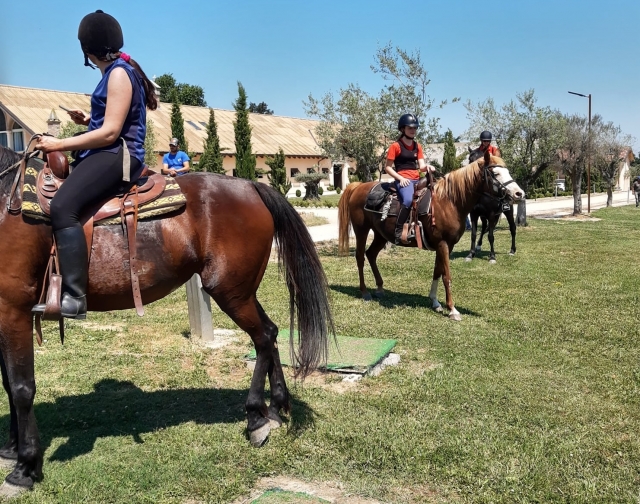 Lernen Sie unsere Reitschule in Parma kennen 