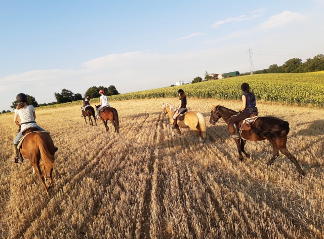  Lassen Sie uns gemeinsam die Reittechniken in Parma erlernen 