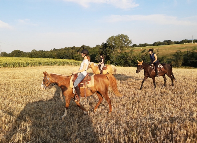 Explorando a província de Parma a cavalo 