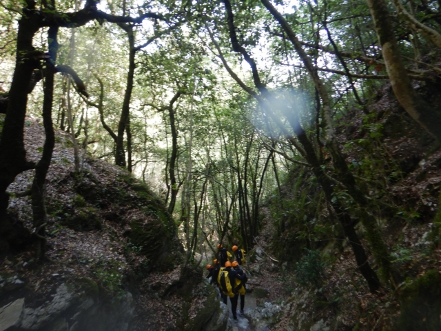  uncontaminated nature 