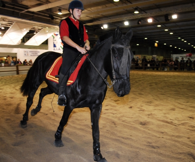  Paseos a caballo por el Murgese