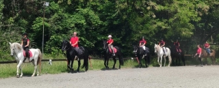 Reitunterricht und Mittagessen in Varisella 1 Stunde