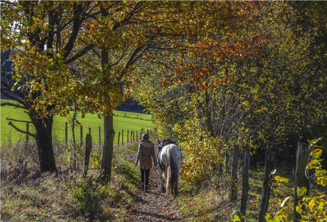  faites une promenade à varisella 