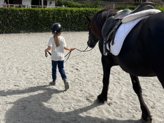 Aulas de equitação em Gênova 1H