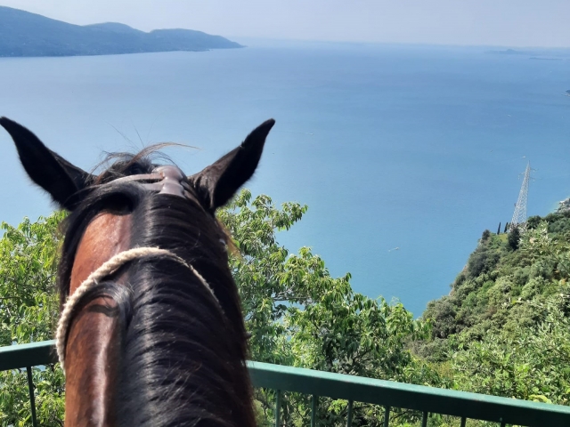  Passeios a cavalo pelo Lago de Garda 