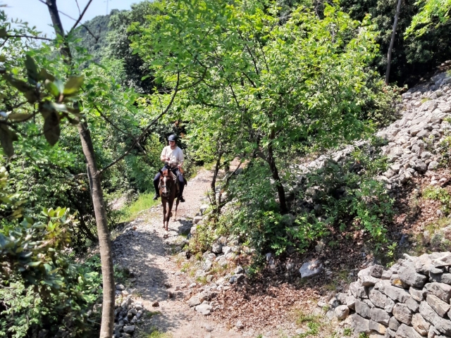 Horseback riding around Lake Garda 1h30