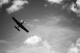 Voli Aereo Alessandria
