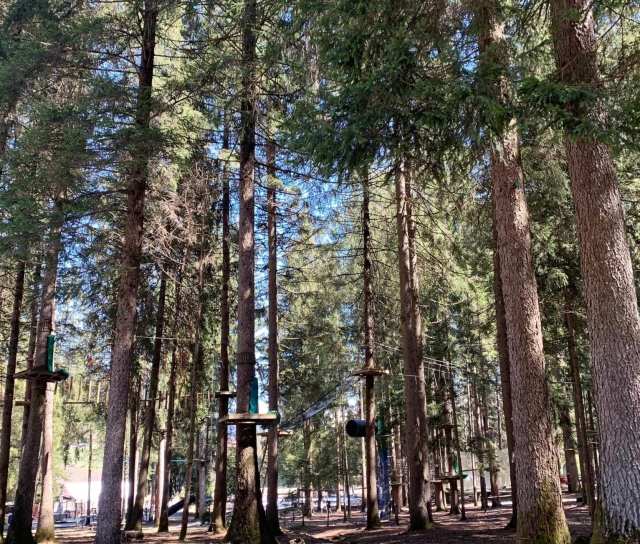  Le parc aventure