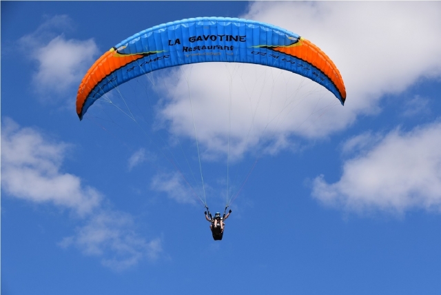 volo per esseri liberi