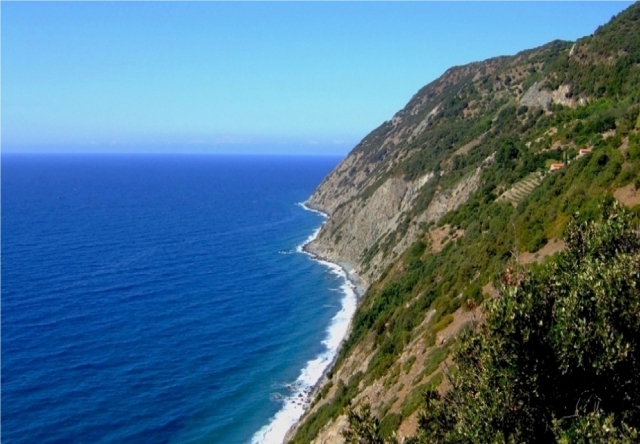 Elba Island 