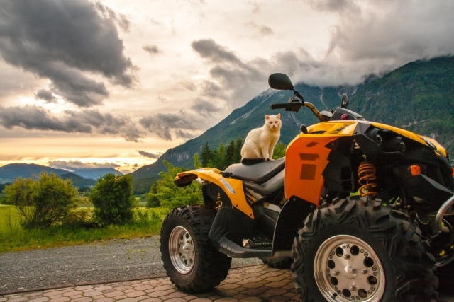  Steigen Sie auf unser Quad und haben Sie Spaß 