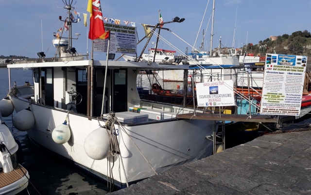 excursion boat 