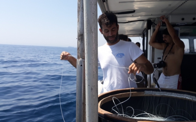  company skipper 
