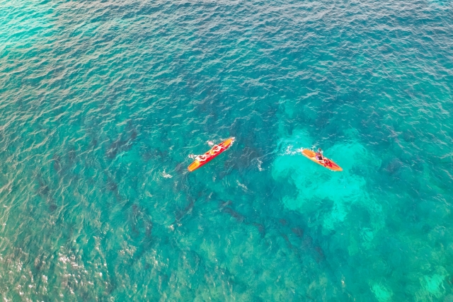  kayak for everyone in Monopoli 