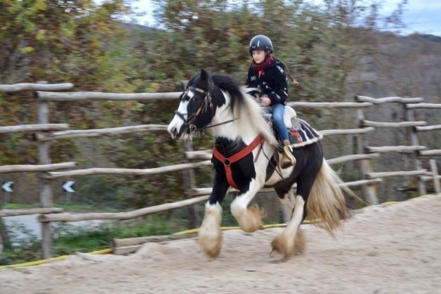  niños en a caballo 