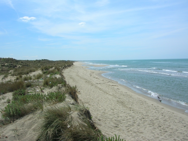  Gombo beach