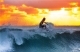 Surf Pisa