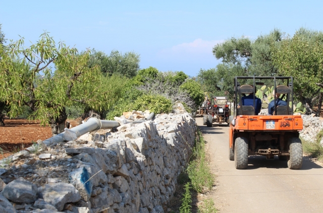  in buggy in the Apulian countryside 