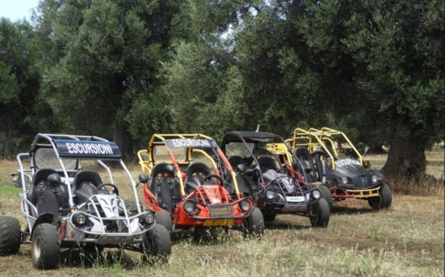  excursion in buggy