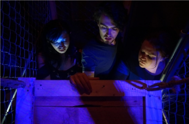  solve the mystery of our escape room 