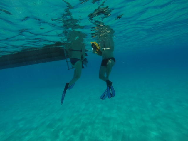  underwater snorkeling 