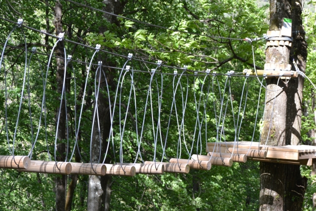 percorso tra gli alberi