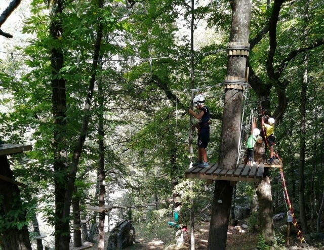 percorso sugli alberi