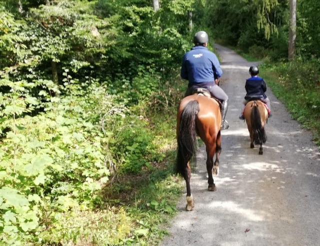  在坎帕尼亚树林里骑马 