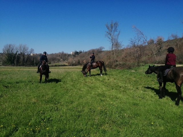  a cavalo 