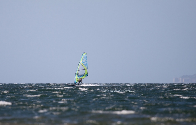  Windsurf 