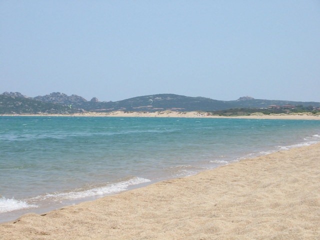  port de poulet à découvrir 