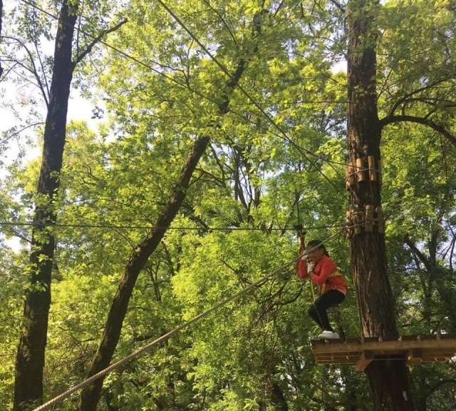  climbing on a liana 