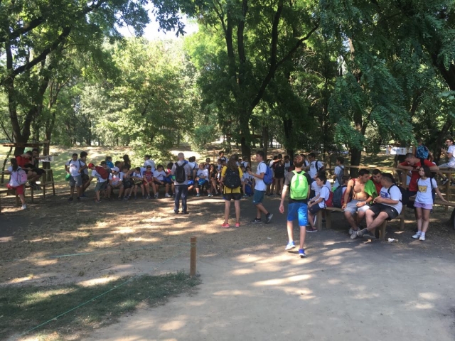  group at the park 