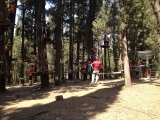 Accès au parc aventure pour les 3 à 7 ans à Fiesole 8 heures