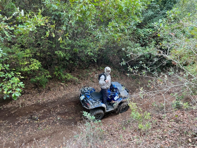 Quad from above