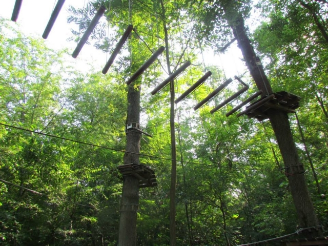  Ponte suspensa Rescaldina 