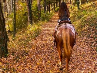 Équitation pour enfants dans la Valle Stura 2H