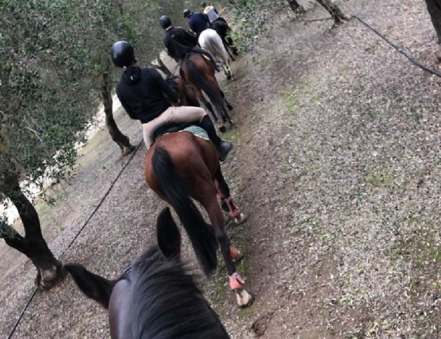 oria da conoscere a cavallo