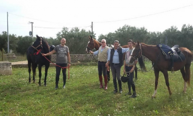  Ride in Oria United 