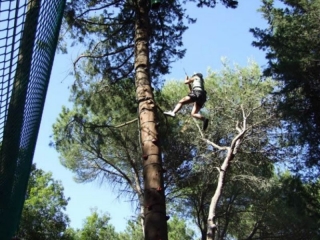 Acceso al parque de aventuras en Buccheri con tirolesa 9h