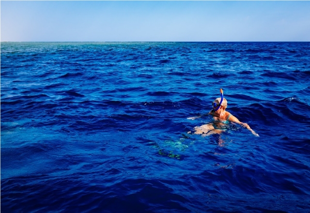 Snorkeling the Cosmopoitan Beach 