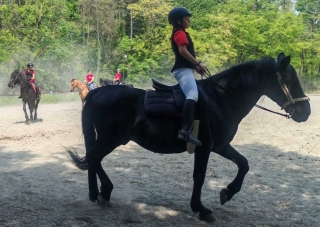 马鞍洗礼 瓦里塞拉 4 至 10 年 1 小时