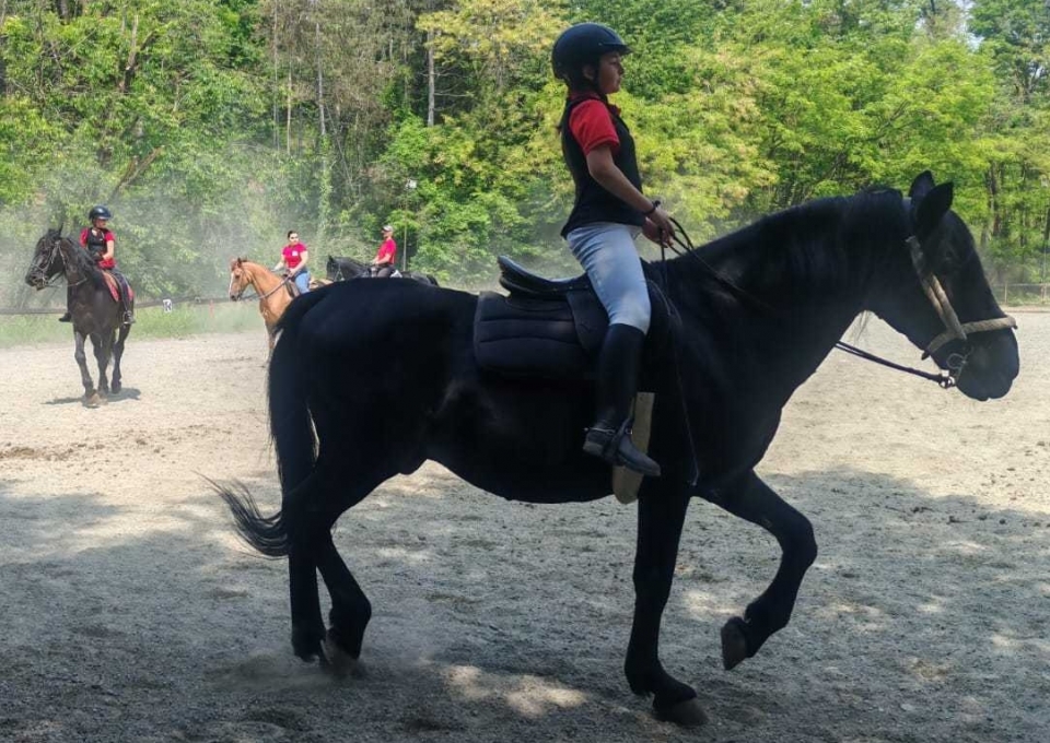  我们的小骑手之一 