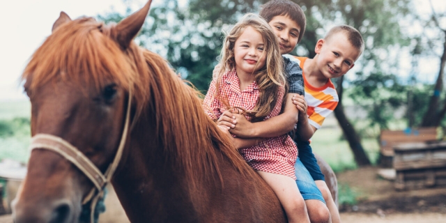  Kinder zu Pferd