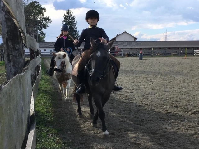  Ponys und Kinder 