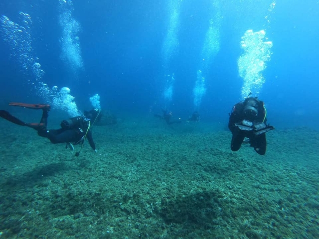  diving 