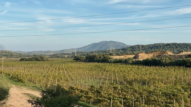  Weintour 